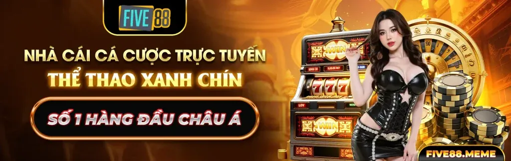 Trải Nghiệm Trực Tiếp Sống Động